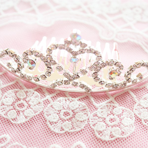 하트티아라빗살핀